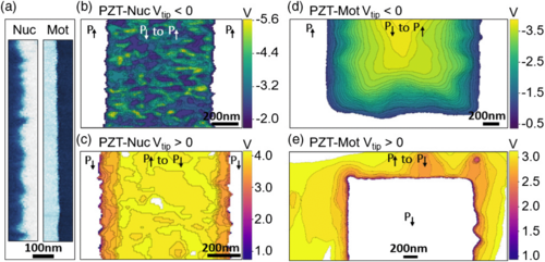 Local Probe Comparison of Ferroelectric Switching Event Statistics in the Creep and Depinning Regimes in Pb(Zr0.2Ti0.8)O3 Thin Films